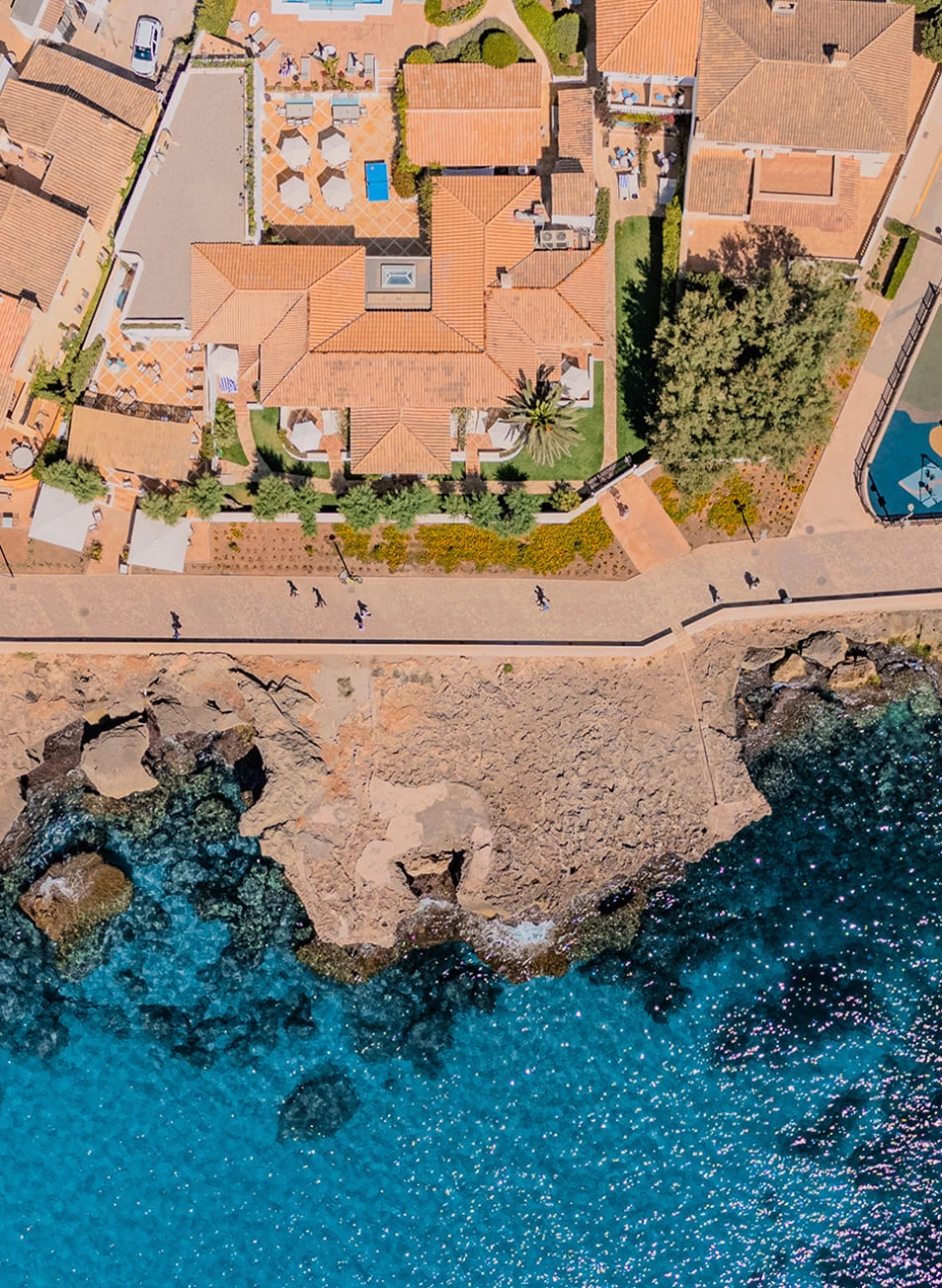 The Sea Club